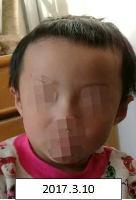 日本很污很骚的逼视频免费看
